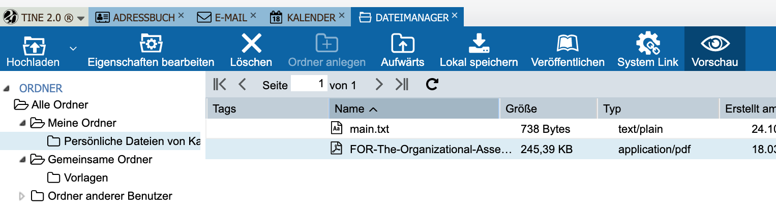 Abbildung: Option "Vorschau" im Dateimanager