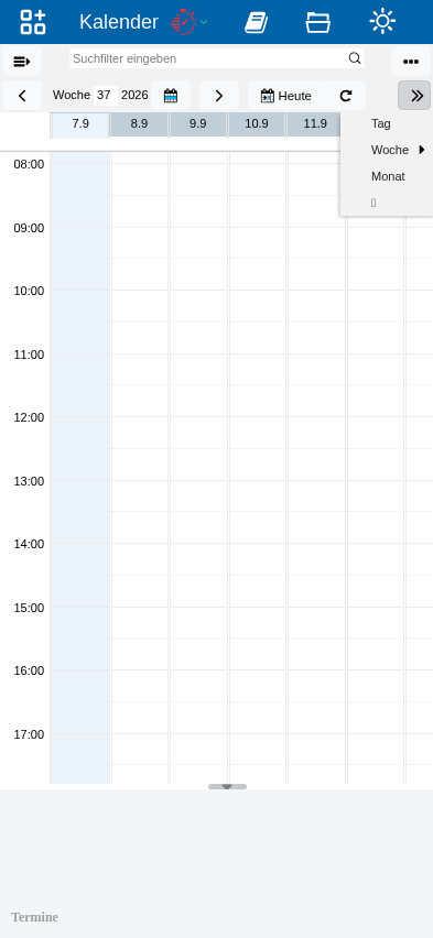 Abbildung: Die Liste mit den Filtern sieht in tine ® überall gleich aus. Hier exemplarisch die Anwendung Kalender.
